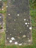 image of grave number 241249